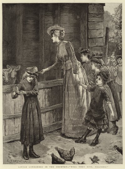 Petits Londoniens à la campagne, vont-ils mordre, professeur - Edward Frederick Brewtnall